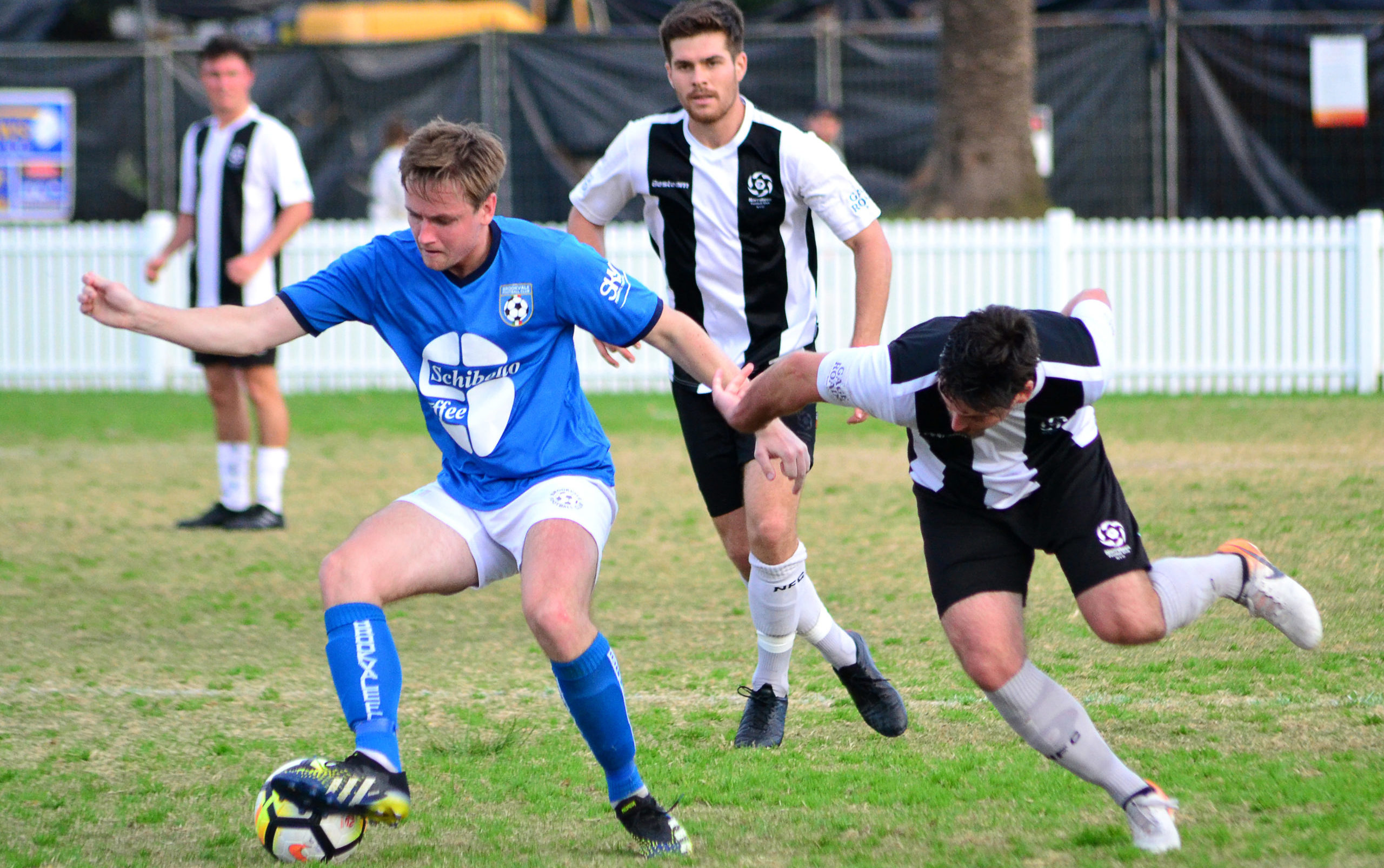 MPL Brookie v Narrabeen 8May2021-8195