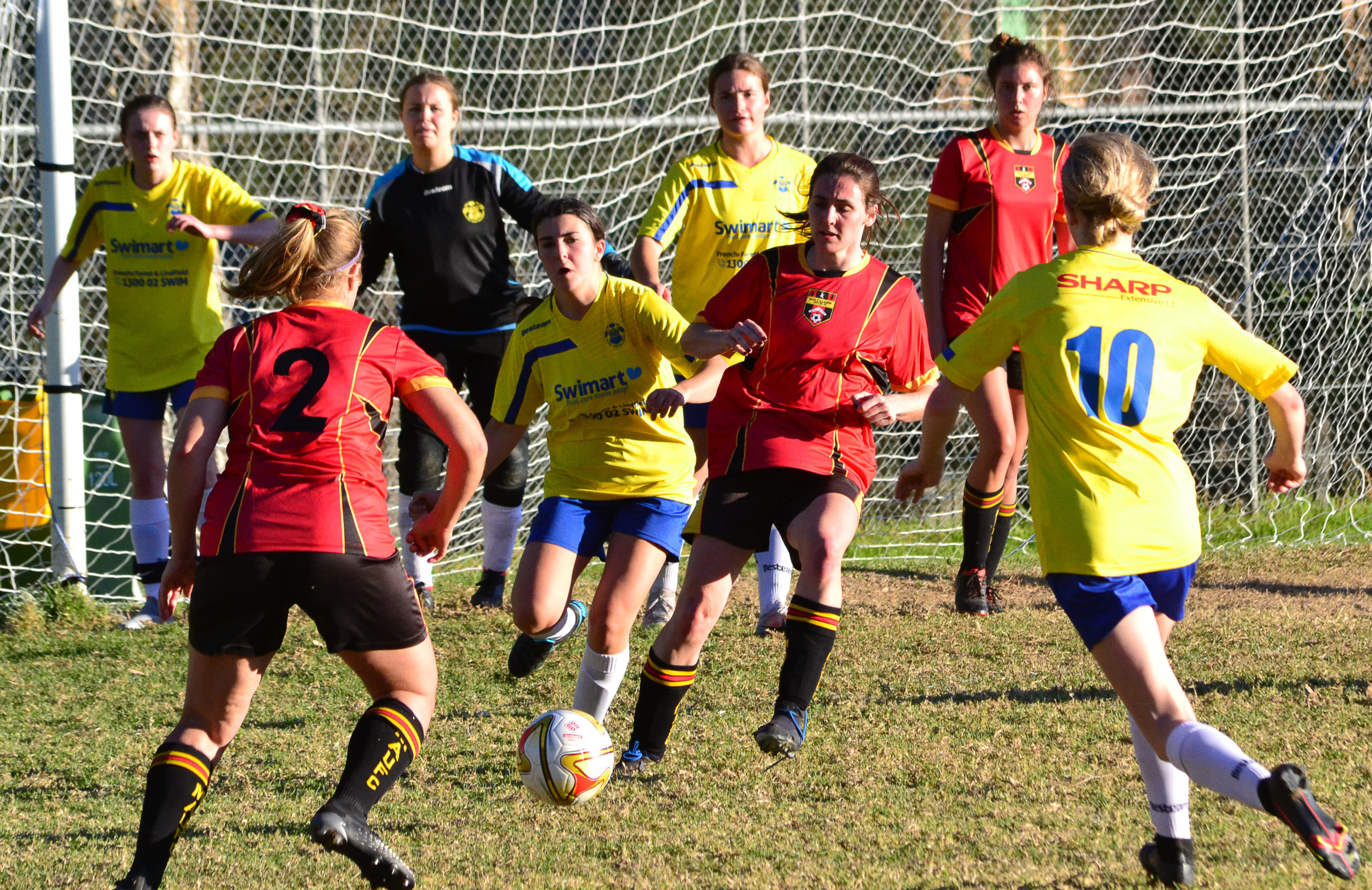 WPL BTH v Allambie-6June21-8820